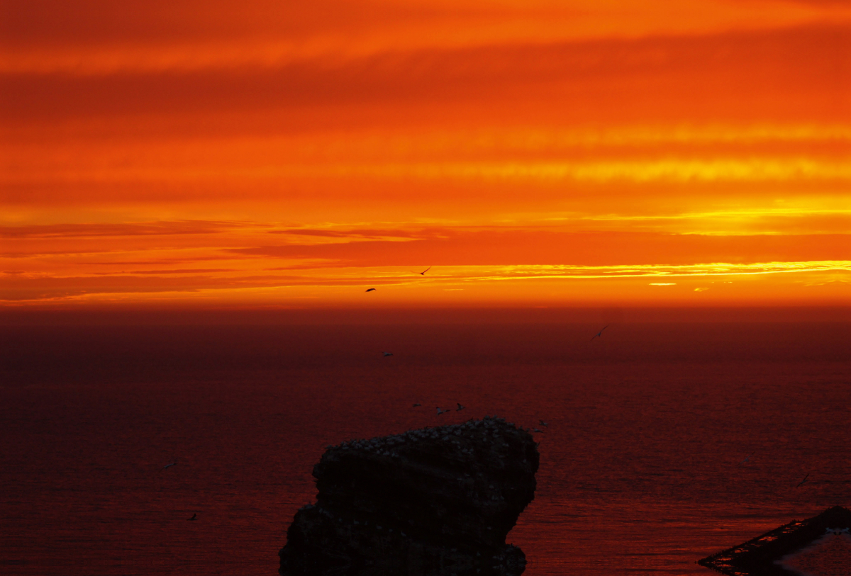 Sonnenuntergang über dem Vogelfelsen