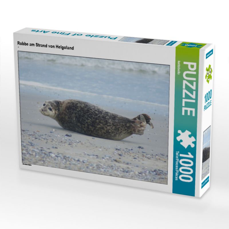 Robbe am Strand von Helgoland