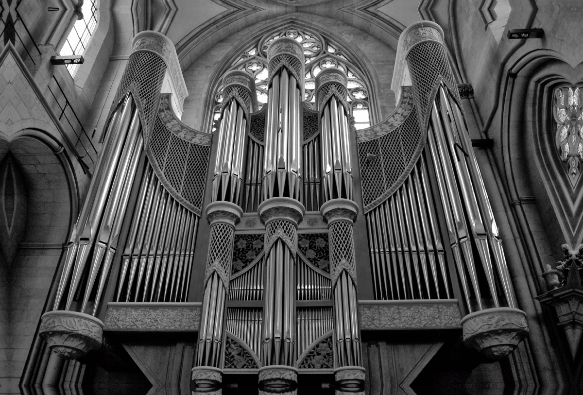 Orgel im St. Paulus Dom