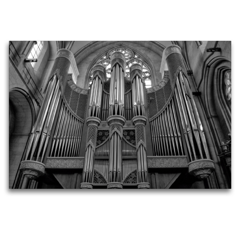 Orgel im St. Paulus Dom