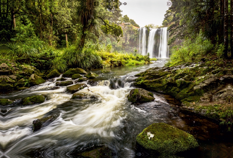 Whangarei Falls - Nordinsel