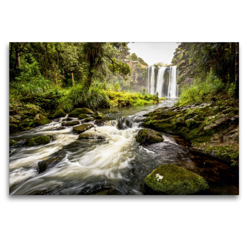 Whangarei Falls - Nordinsel