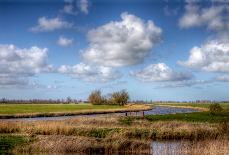 Knockster Tief im Frühling, Ostfriesland