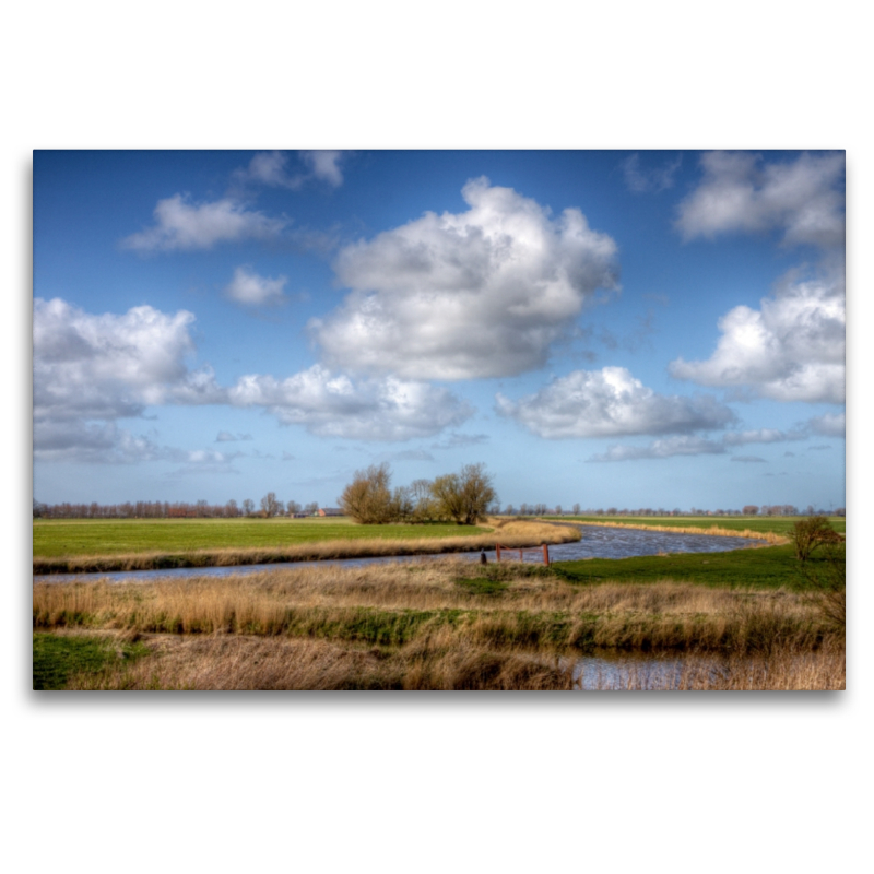 Knockster Tief im Frühling, Ostfriesland