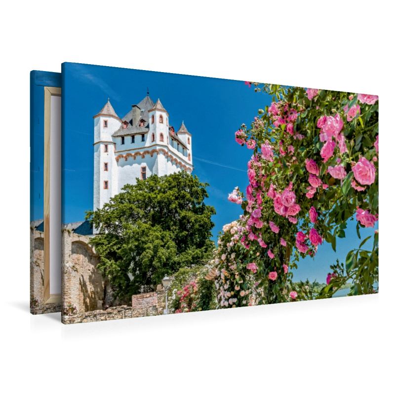 Kurfürstliche Burg mit Rosen