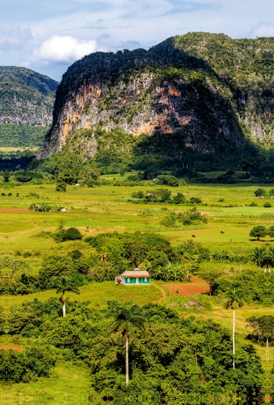 Vinales