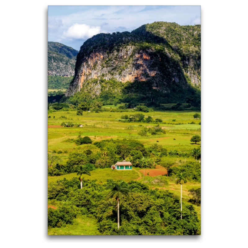 Vinales