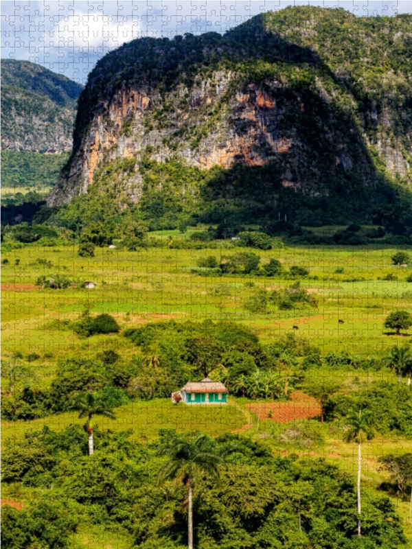 Vinales