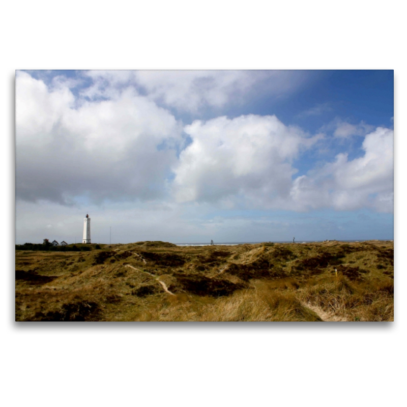 Dünenlandschaft am Blåvands Huk