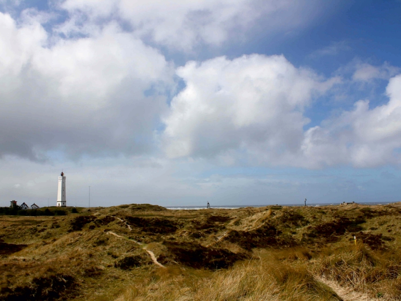 Dünenlandschaft am Blåvands Huk