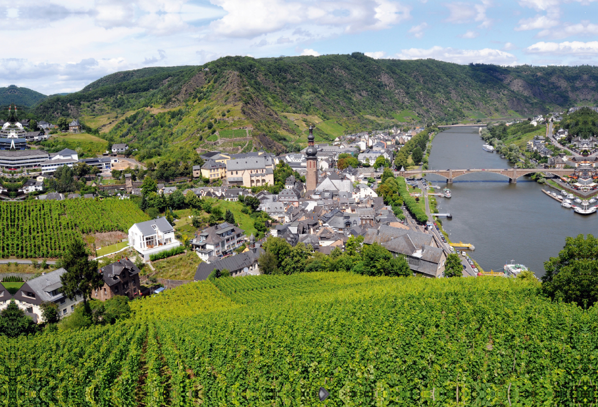 Blick über die Stadt Cochem und Weinberge