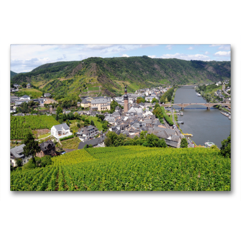 Blick über die Stadt Cochem und Weinberge