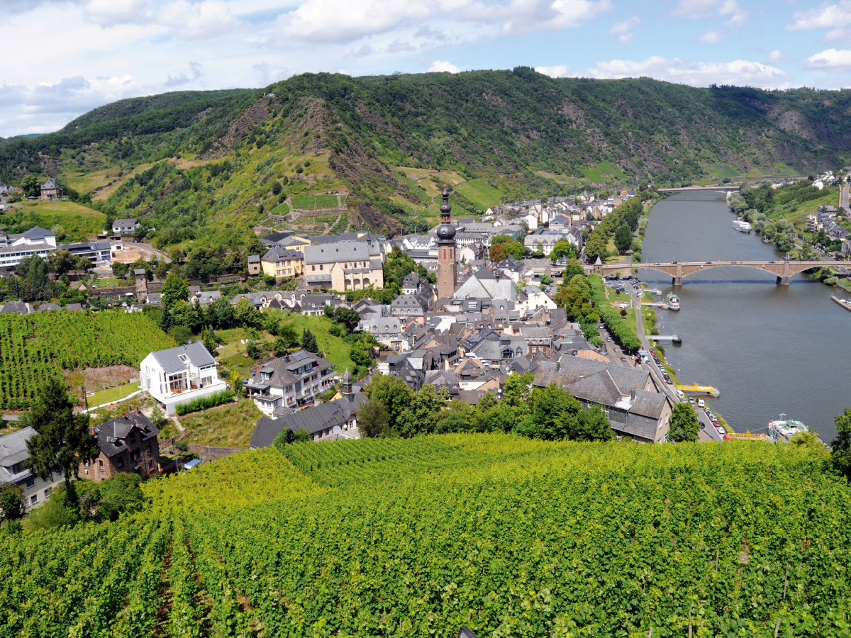 Blick über die Stadt Cochem und Weinberge