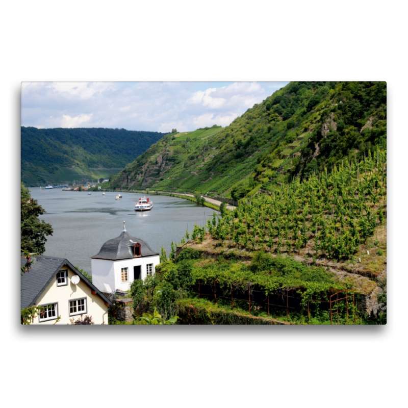 Weinberge bei Beilstein an der Mosel