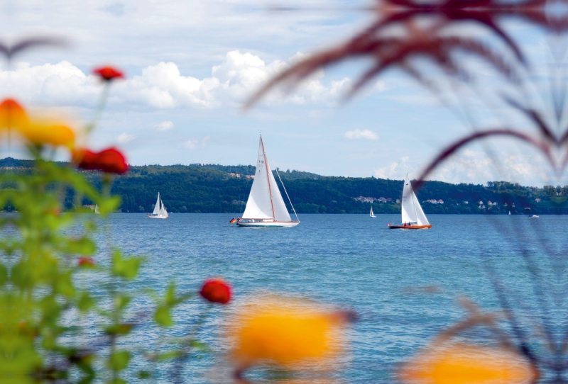 Segelboote auf dem Bodensee