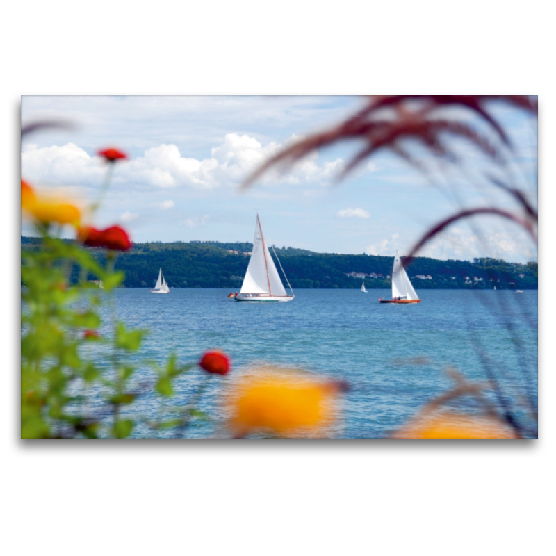 Segelboote auf dem Bodensee