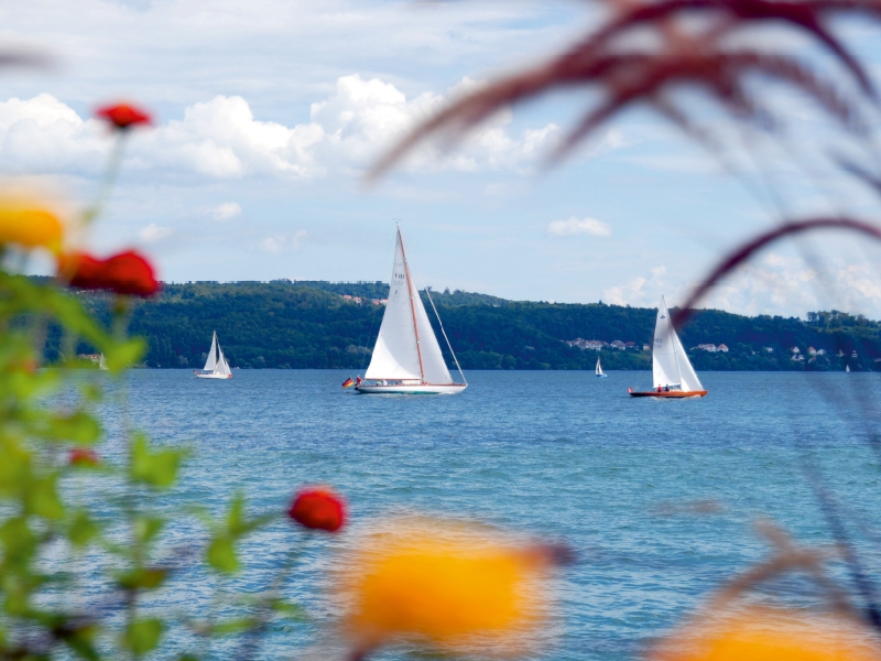 Segelboote auf dem Bodensee