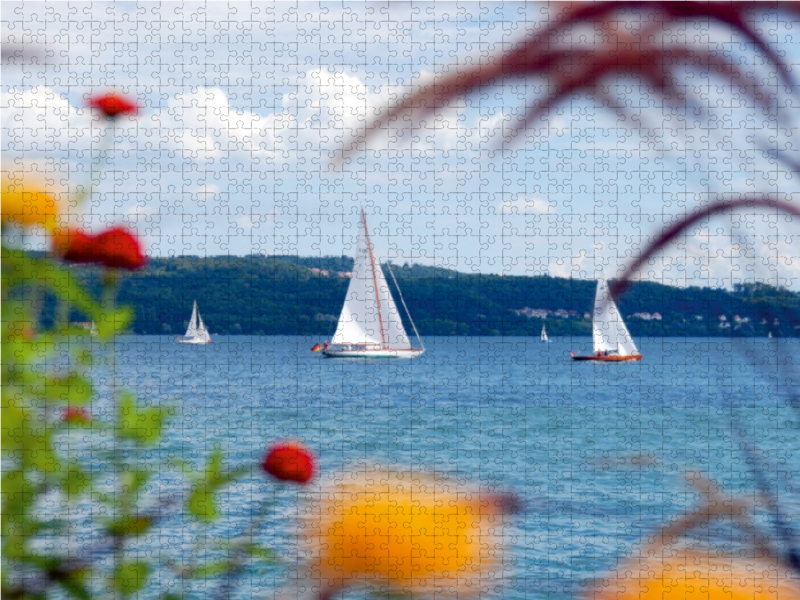 Segelboote auf dem Bodensee