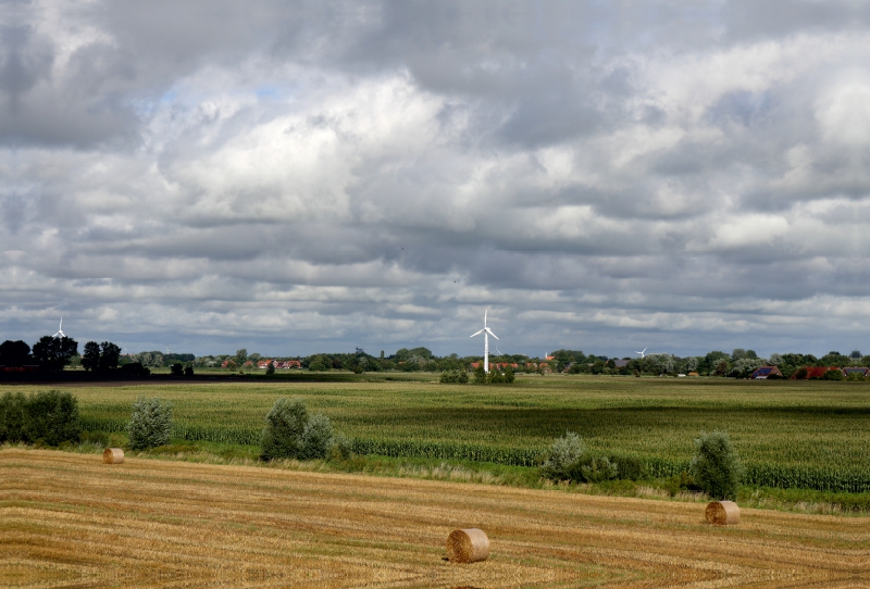 Ostfriesland nach der Weizenernte