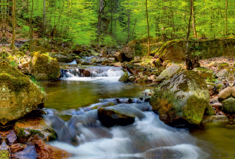 Ilsetal bei Ilsenburg