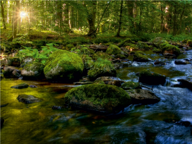 Ein Bach im Harz