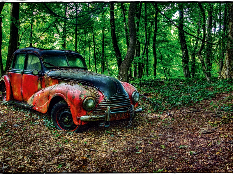 BMW - verlassener im Wald