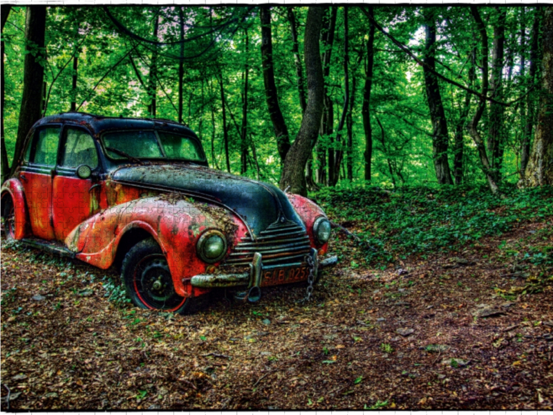 BMW - verlassener im Wald