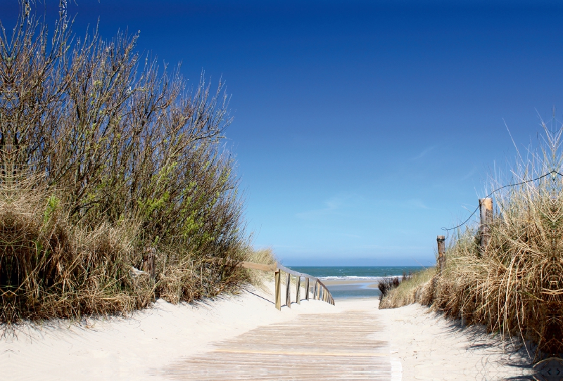 Weg zum Meer / Langeoog