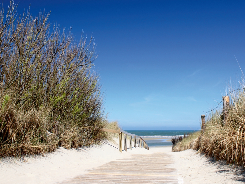 Weg zum Meer / Langeoog