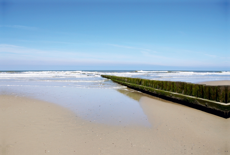 Nordsee-Buhne / Norderney