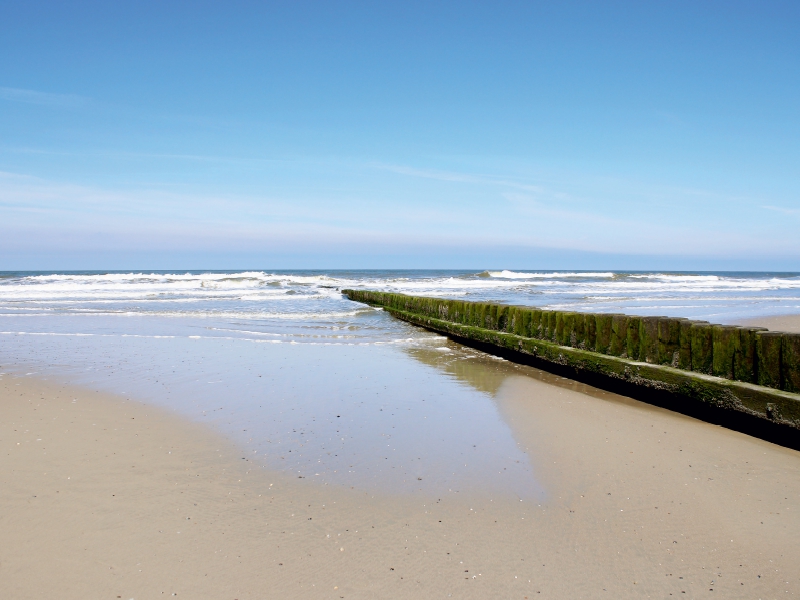 Nordsee-Buhne / Norderney