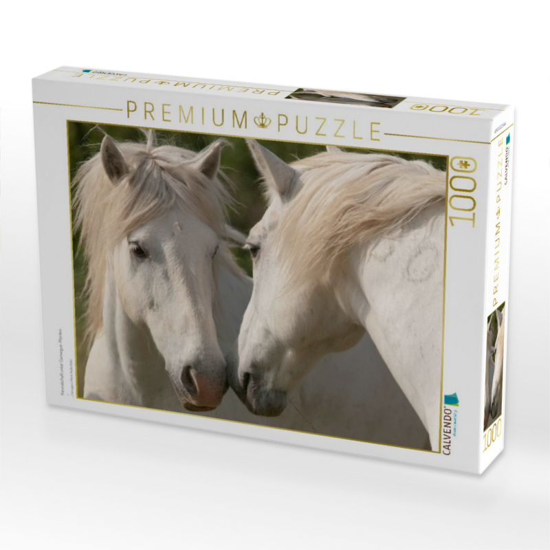 Freundschaft unter Camargue-Pferden