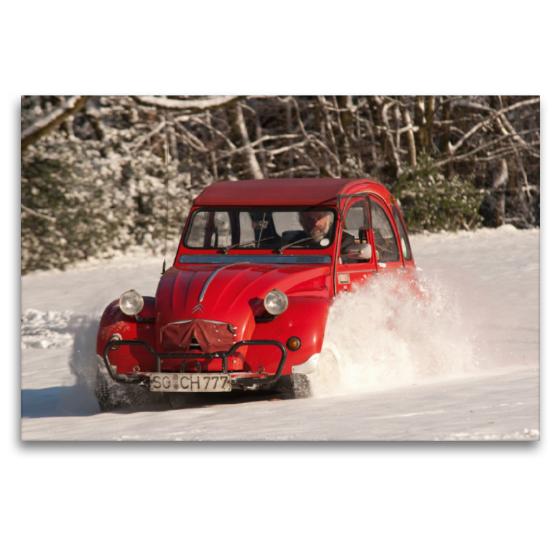 Fahrspaß im Pulverschnee