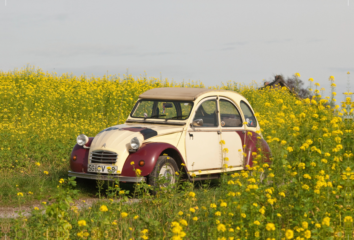 Kultautomobil Ente Citroën 2CV