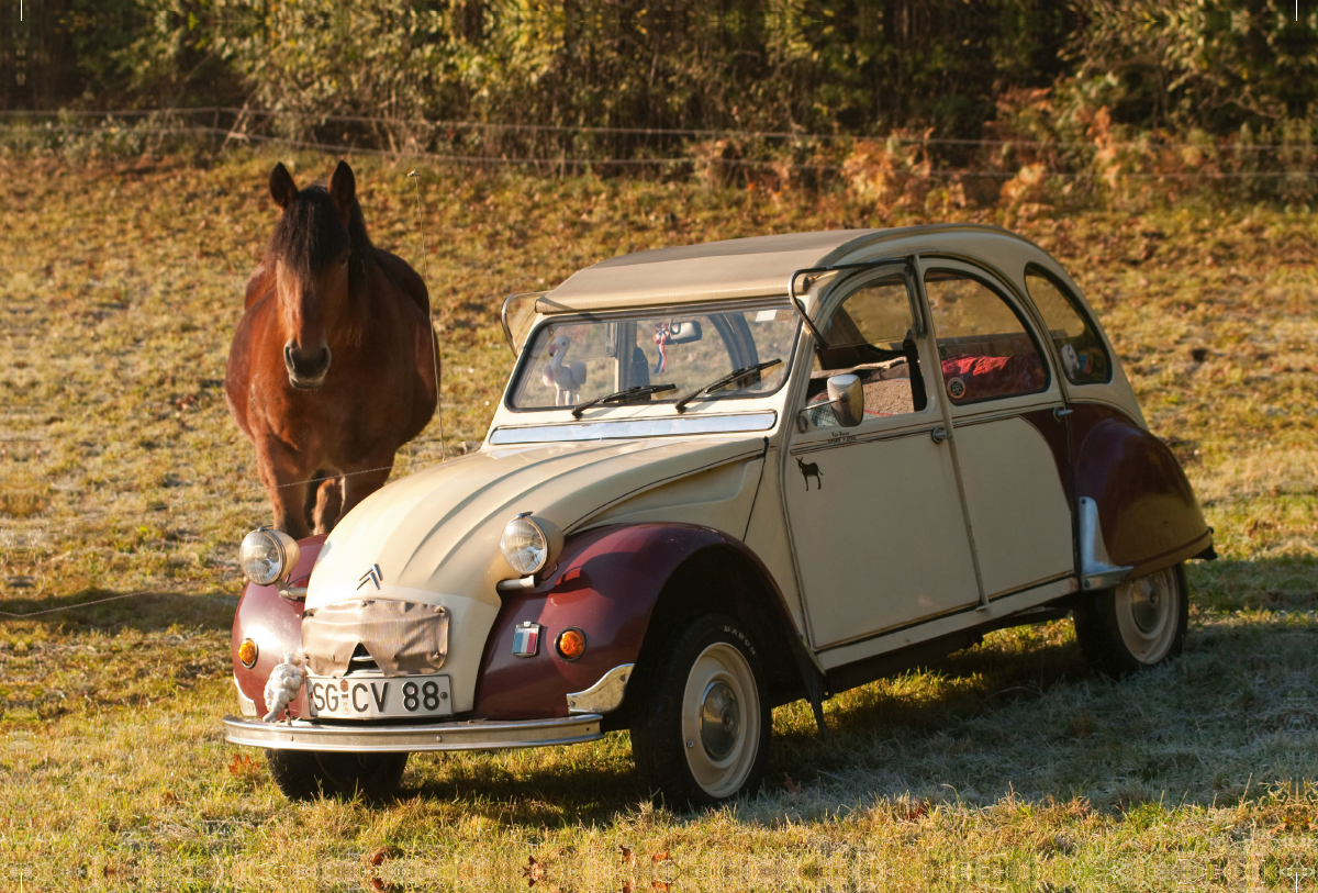 Citroën 2 CV Dolly mit Pferd