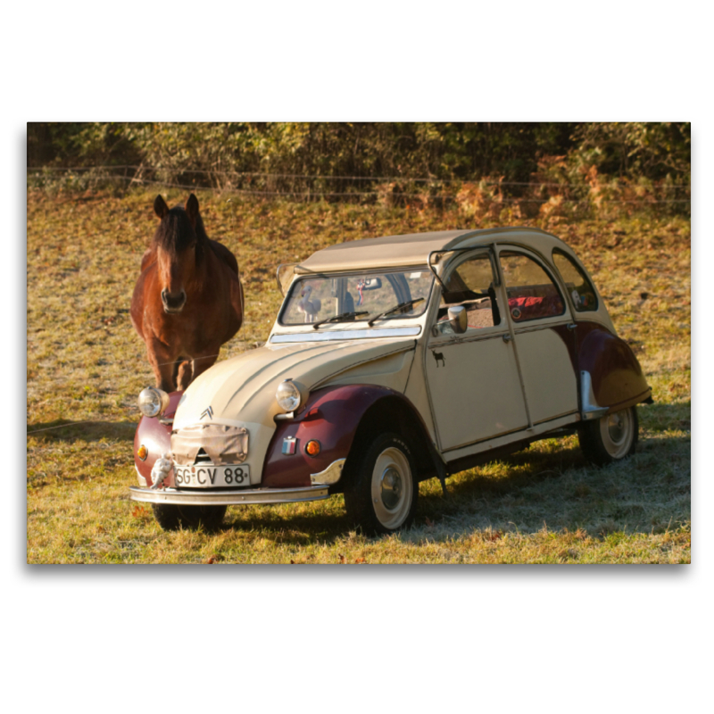 Citroën 2 CV Dolly mit Pferd