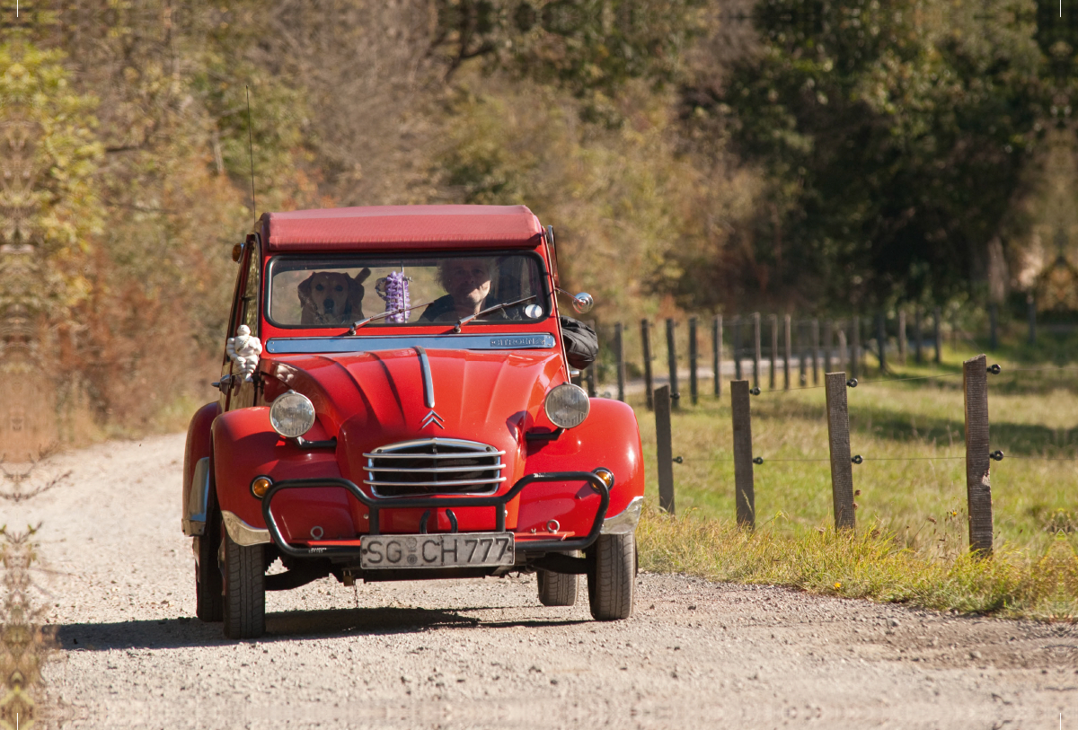 2CV 6 Club Bj.86 1.Hand