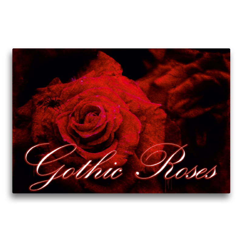 Gothic Roses