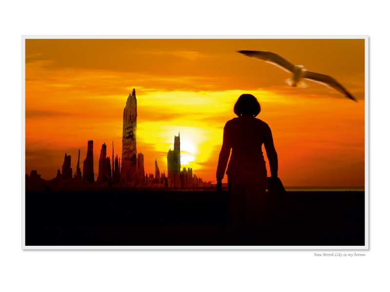 Ein Motiv aus dem Kalender Emotional Moments: Die Skyline von New Holz City. / UK-Version