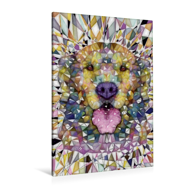 Calvendo Leinwand — Regenbogen Hund