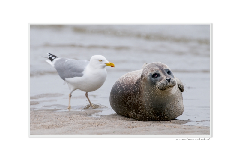 Ein Motiv aus dem Kalender Emotional Moments: Heligoland - Insel in der Nordsee. / UK-Version