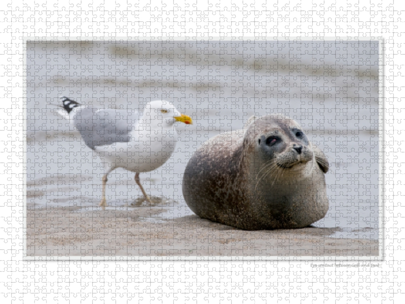 Ein Motiv aus dem Kalender Emotional Moments: Heligoland - Insel in der Nordsee. / UK-Version