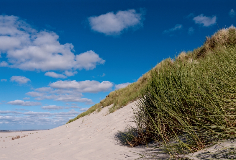 Am Strand von Buren