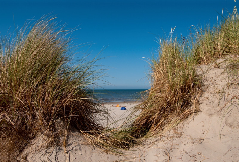 Am Strand von Buren