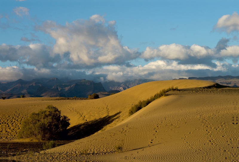 Wüste bei Maspalomas