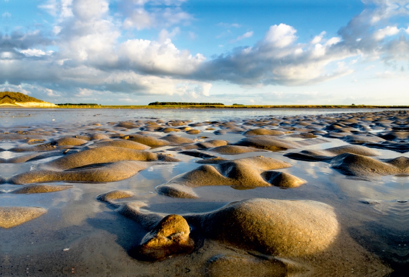 Im Naturschutzgebiet 'T´Zwien'