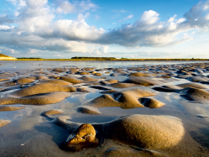 Im Naturschutzgebiet 'T´Zwien'