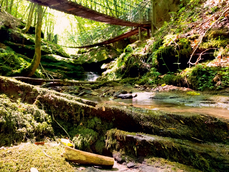 Butzerbachtal bei Bitburg