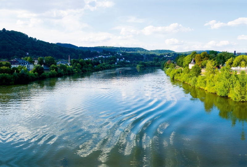 Mosel bei Trier