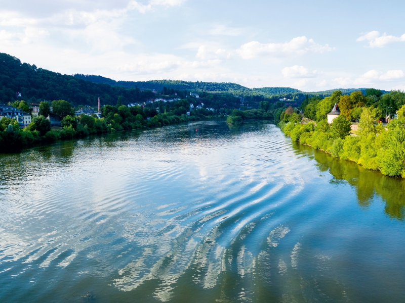 Mosel bei Trier